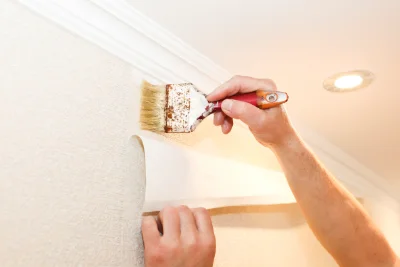 Pose de papier peint à Roche-d'Agoux — revêtements muraux et toiles de verre